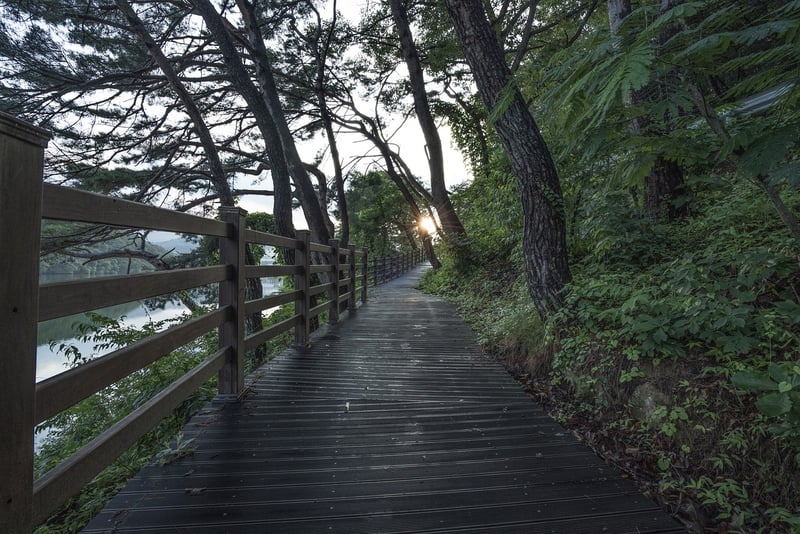 Nature Walk