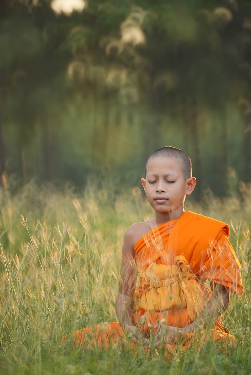 Mindful Movement Image
